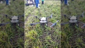 Drones jogam agrotóxicos sobre comunidades rurais e intoxicam moradores em Pernambuco