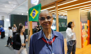 Brasil não vai condicionar proteção ambiental ao financiamento internacional, diz Marina Silva na COP-27