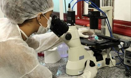 Empregabilidade de mestres e doutores é 5 vezes maior do que a média brasileira, aponta estudo