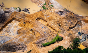 Greenpeace denuncia estrada ilegal de 150 km na Amazônia