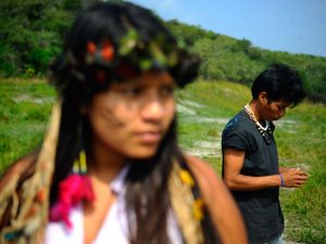 MPF entra com ação por segurança de comunidade indígena em Paraty