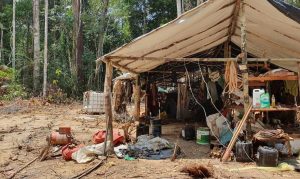 Seis homens são presos após atirarem contra a PM na Terra Indígena Yanomami