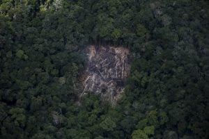 Vídeos mostram fuga de garimpeiros na Terra Indígena Yanomâmi