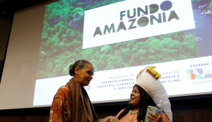 Entenda o que é o Fundo Amazônia, que contará com o reforço dos EUA