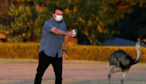 Sob a gestão Bolsonaro, emas da Presidência morreram por obesidade