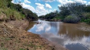 Comitiva do governo federal vai ao Rio Grande do Sul conferir prejuízos com a seca