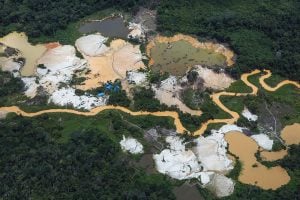 Genocídio banhado a ouro