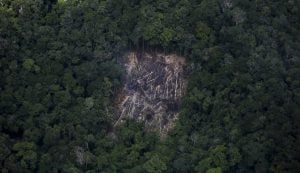 Indígenas Yanomami entregarão estatueta alternativa ao Oscar na luta contra garimpo ilegal