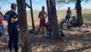 Operação resgata 56 trabalhadores sob condição análoga à escravidão no Rio Grande do Sul