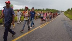 CNA vai ao STF contra movimentos sociais por 'ameaças de invasões de terra'