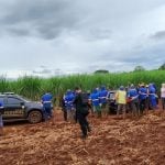 BYD e Amado Batista entram na ‘lista suja’ do trabalho escravo; cadastro chega a 613 nomes