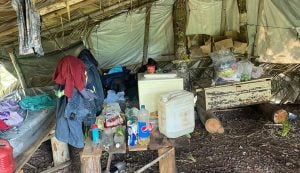 Trabalhadores em condições análogas à escravidão são resgatados em Mato Grosso
