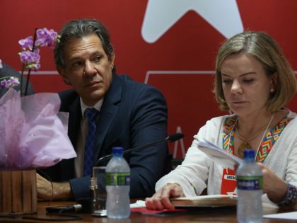 As divergências entre Haddad e Gleisi no ajuste das contas públicas