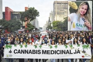 A redenção da Cannabis