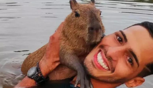 ‘Pai’ de capivara que viralizou no TikTok é multado pelo Ibama e terá animal recolhido