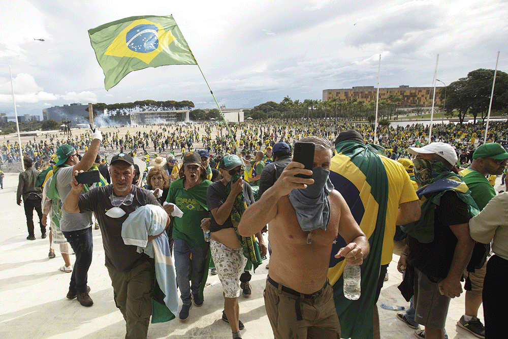 Reis da selva