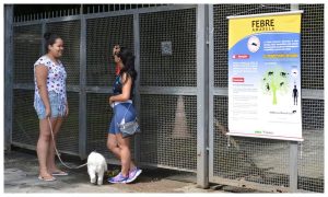 SP volta a registrar mortes por febre amarela após dois anos sem casos