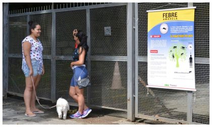 SP volta a registrar mortes por febre amarela após dois anos sem casos