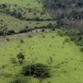 Amazônia: degradação afeta área três vezes maior que desmatamento