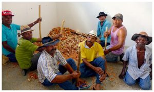 Cantos de trabalho resistem nos rincões do País