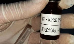 Vacina brasileira contra covid-19 tem bons resultados em testes, afirma pesquisador