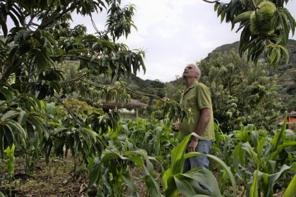 Acordo UE-Mercosul: esperança e medo para agricultores europeus e sul-americanos