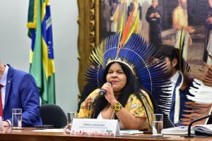 Ministra diz ter esperança de que Senado rejeite marco temporal