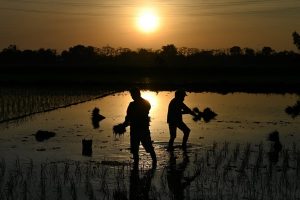 Planeta registrou o mês de junho mais quente da história