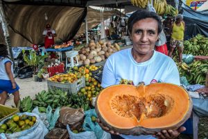 Os desafios da agricultura brasileira