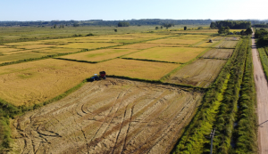 A agroecologia pode alimentar o mundo?