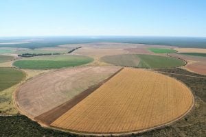 Super-ricos apropriam-se do 'boom' do agro e mais que triplicam renda rural desde 2017