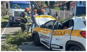 Duas mulheres morrem em decorrência de fortes ventos no estado de São Paulo