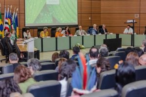 Cientistas propõem estratégia sustentável para a Amazônia baseada em três pontos