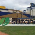 Suzano anuncia pagamento bilionário de Juros sobre Capital Próprio a acionistas