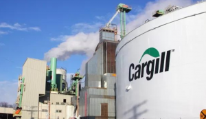 Justiça condena Cargill por trabalho escravo e infantil de fornecedores de cacau