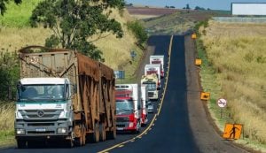 No 2º leilão do PAC, Consórcio Infraestrutura PR ganha concessão de rodovias no Paraná