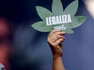 PSOL vai à Justiça após Blumenau proibir a Marcha da Maconha: 'Inconstitucional'