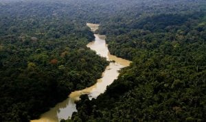 Fundo Amazônia recebe R$ 45 milhões das primeiras doações dos EUA e da Suíça