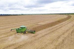 Em menos de quatro décadas, área destinada à soja cresce nove vezes