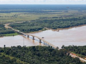 Juiz condena 3 desmatadores da Amazônia a reflorestar 150 hectares devastados
