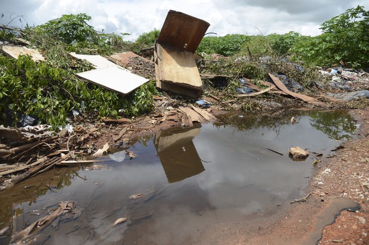 Dengue cresce no Rio; 5 municípios têm situação epidêmica