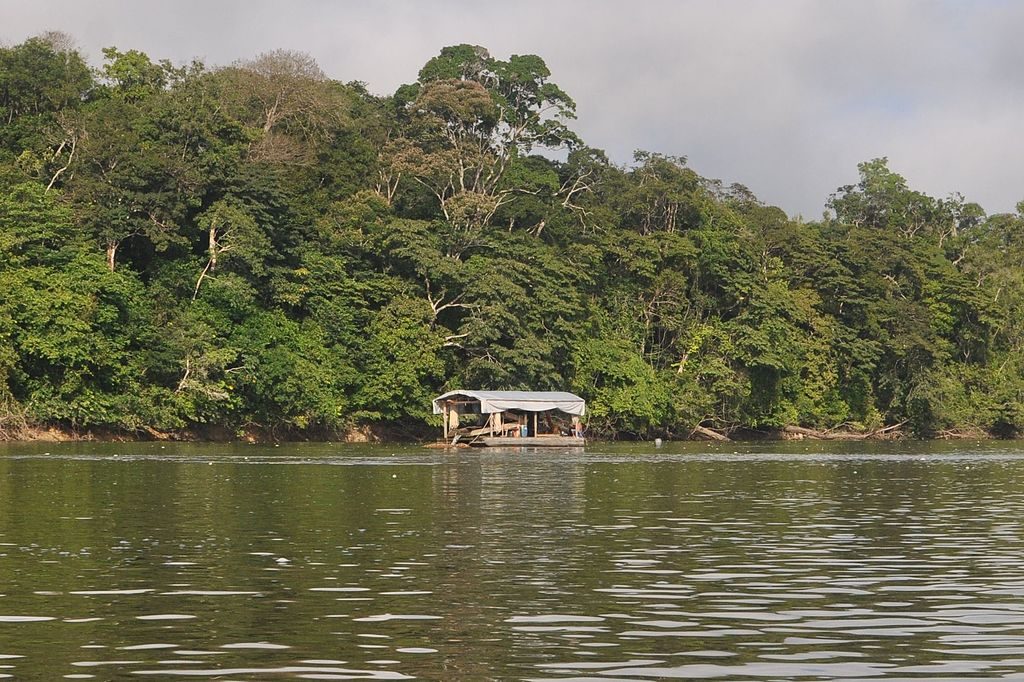 Associações vão processar França por “ineficácia” na luta contra garimpo ilegal na Guiana