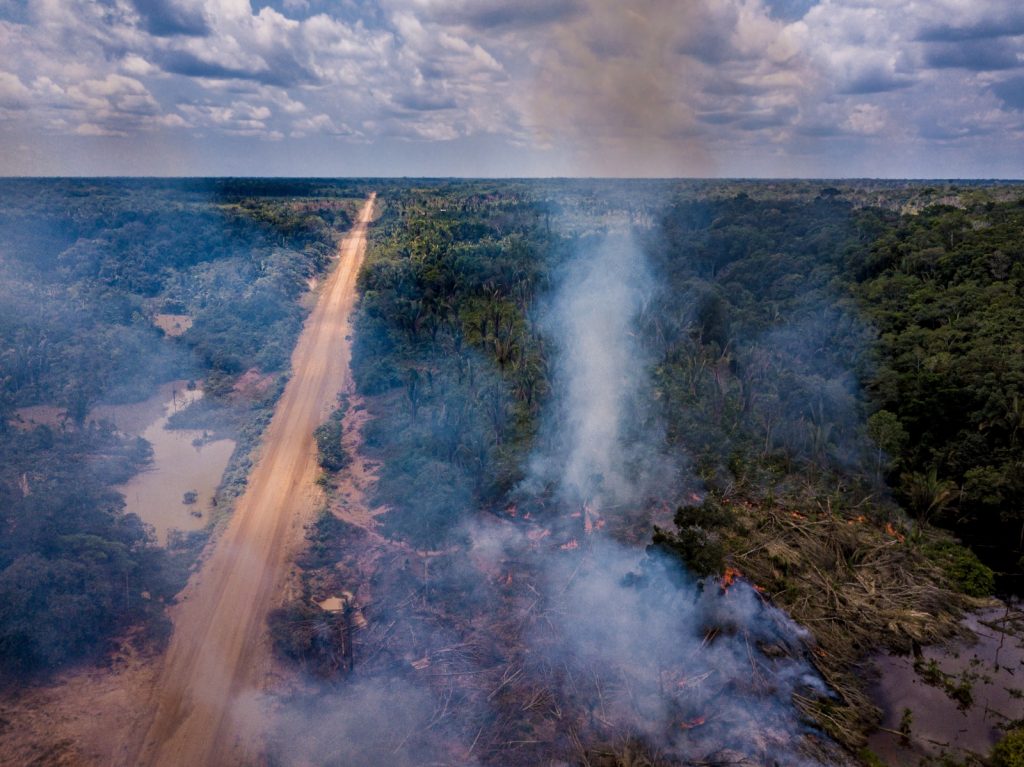 A rodovia que divide a Amazônia