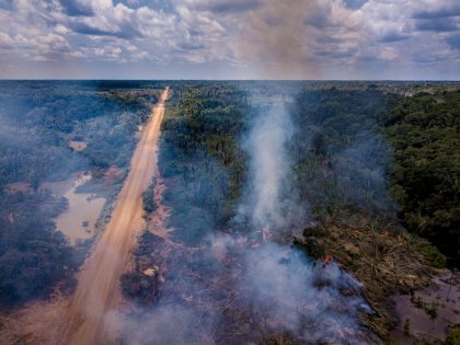 A rodovia que divide a Amazônia