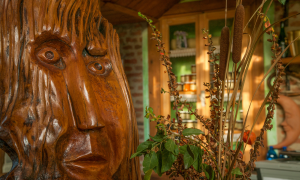 Por que o uso terapêutico da ayahuasca ainda não é autorizado no Brasil?