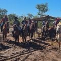 Da bala ao gabinete: como se grila um pedaço de terra