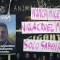 Vitória de Milei pode provocar virada autoritária e religiosa na Argentina, diz pesquisador