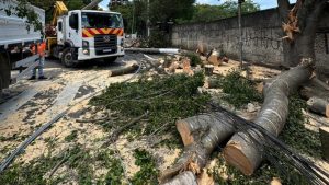 Número de mortes após temporal em São Paulo sobe para 7