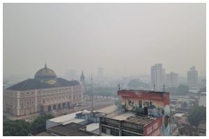 MPF pede que governo do Amazonas detalhe ações de combate a incêndios