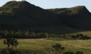 Territórios quilombolas são as áreas menos desmatadas do País